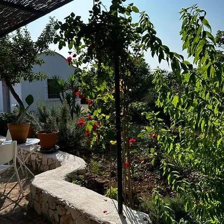Holiday home Trullo Giardino Sotto La Luna *